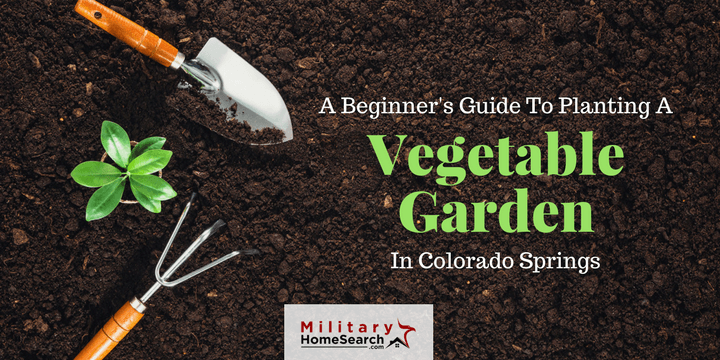 Growing a Vegetable Garden in Colorado Springs